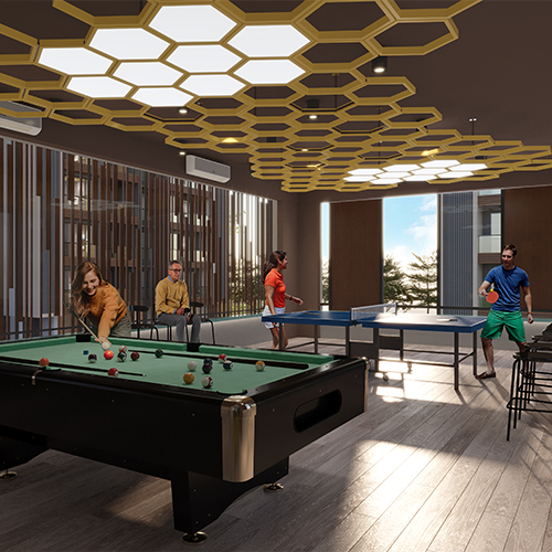 Indoor Game Room