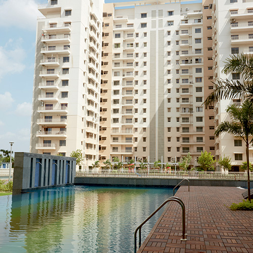 Water Lily Swimming pool